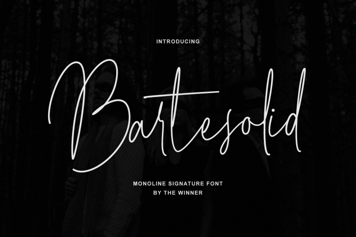 Bartesolid Font Download