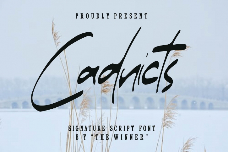 Cadnicts Font Download