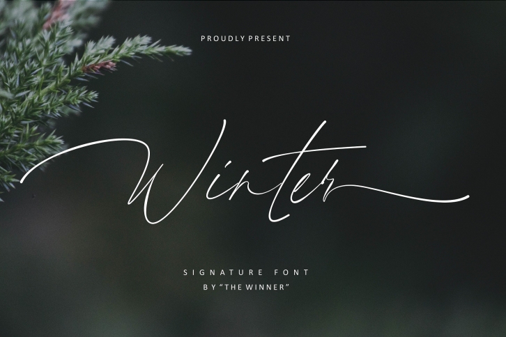 Winter Font Download