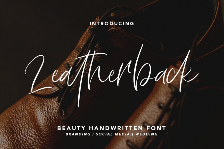 Leatherback -Beauty Handwritten Font Download
