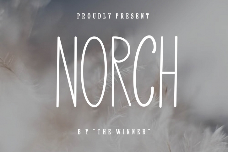 Norch Font Download