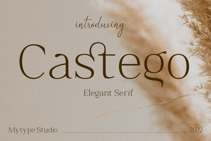 Castego Font Download