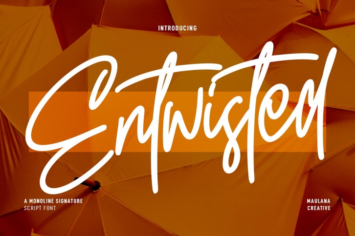 Entwisted Monoline Signature Script Font Download