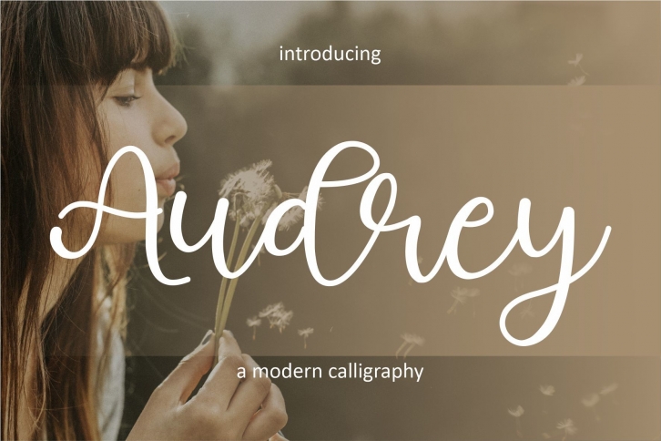 Audrey Font Download