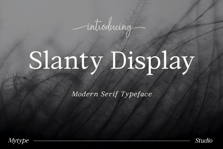 Slanty Display Font Download
