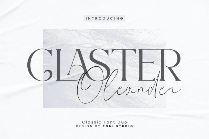 Claster Oleander Font Duo Font Download