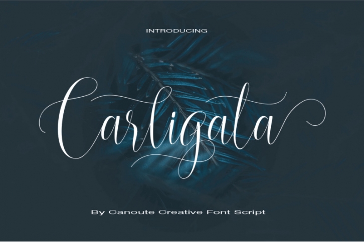 Carligata Font Download