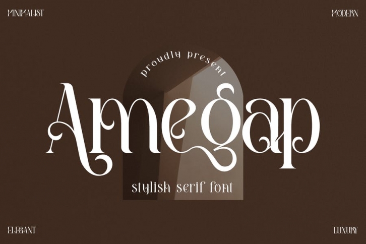 Amegap Stylish Serif Font LS Font Download