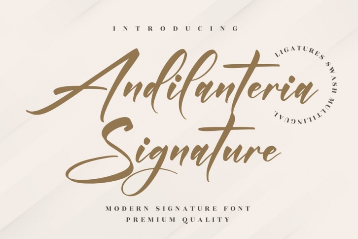 Andilanteria Signature Modern Signature Font LS Font Download