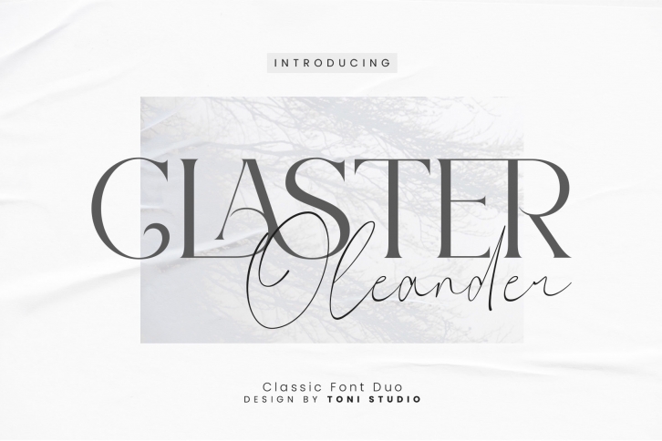 Claster Oleander Font Download