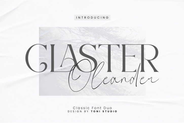 Claster Oleander Duo Font Download