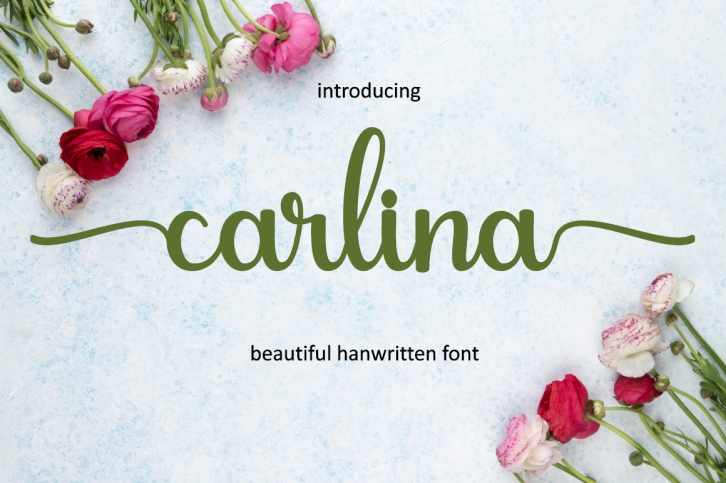 Carlina Font Download