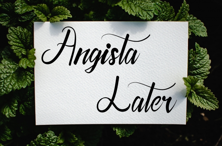 Angista Later Font Download