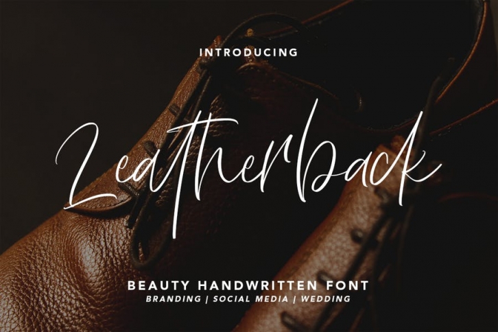 Leatherback - Beauty Handwritten Font Font Download