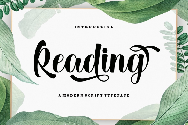 Reading Script Font Download