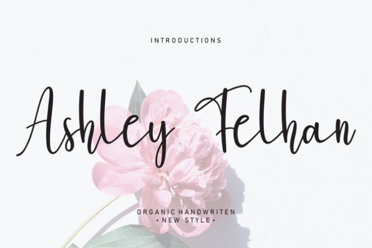 Ashley Felha Font Download