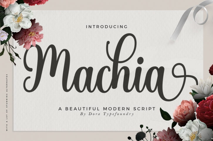 Machia Script Font Download