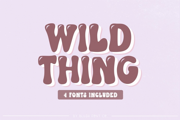 WILD THING Retro Family Font Download