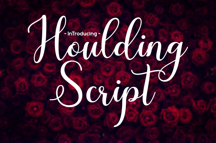 Houlding Script Font Download