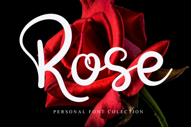 Rose Font Download