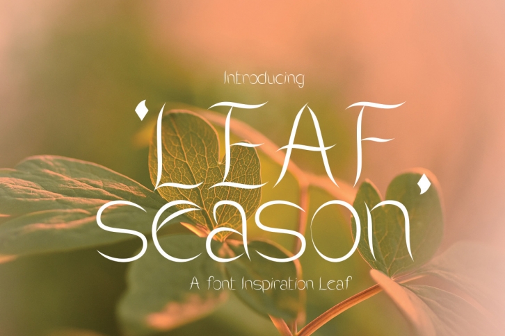 Leaf Season Font Download