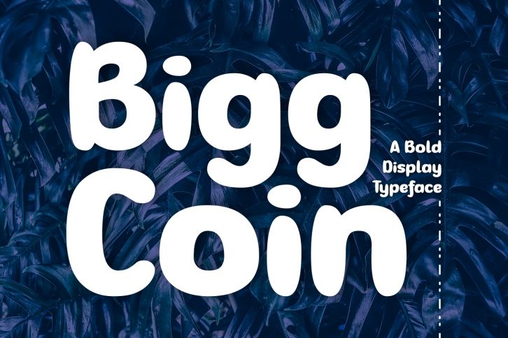Bigg Coin Font Download