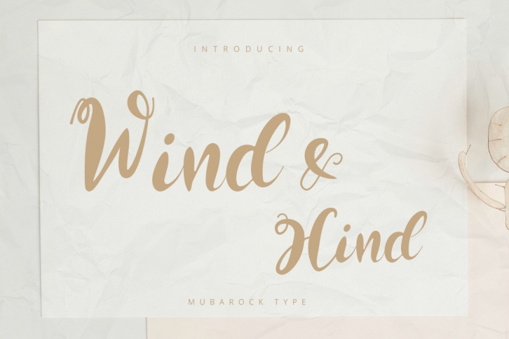 Wind and Hind Font Download