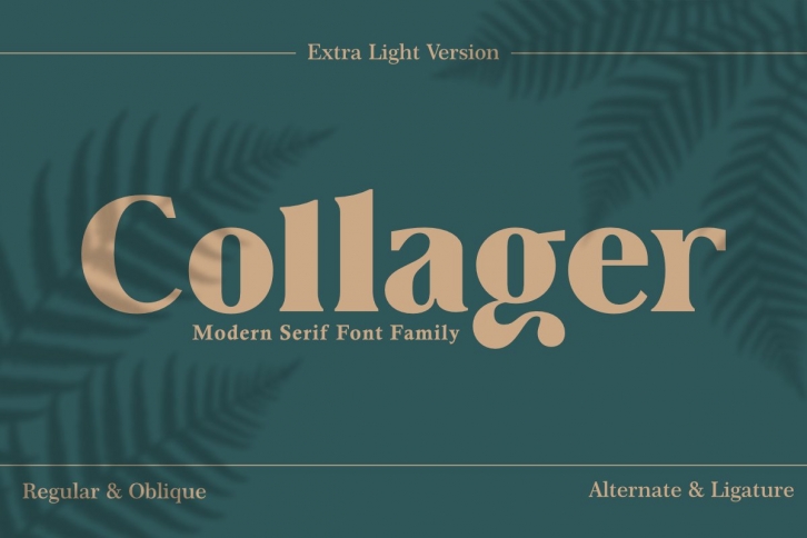 Collager a Modern Serif Font Download