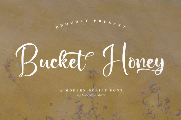 Bucket Honey Modern Script Font LS Font Download