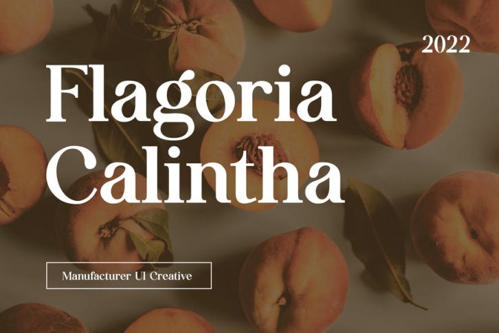 Flagoria Caintha Serif Font Family Font Download
