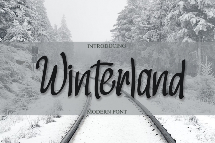 Winterland Font Download