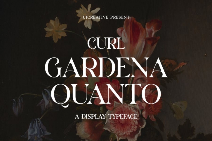 Gardena Quanto Serif Display Font Family Font Download