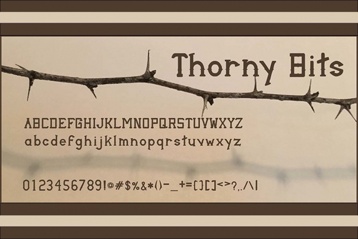 Thorny Bits Font Download
