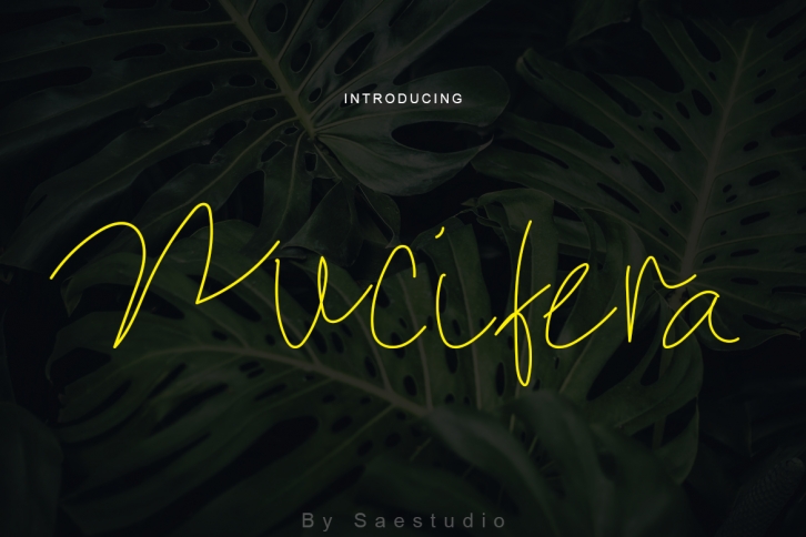 Nucifera Font Download