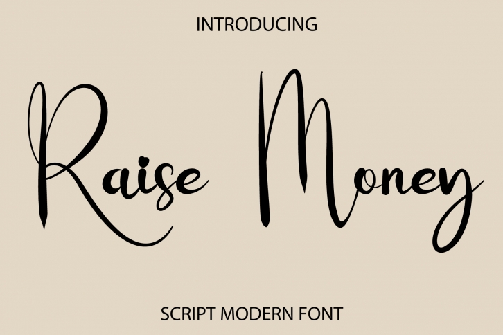 Raise Money Font Download