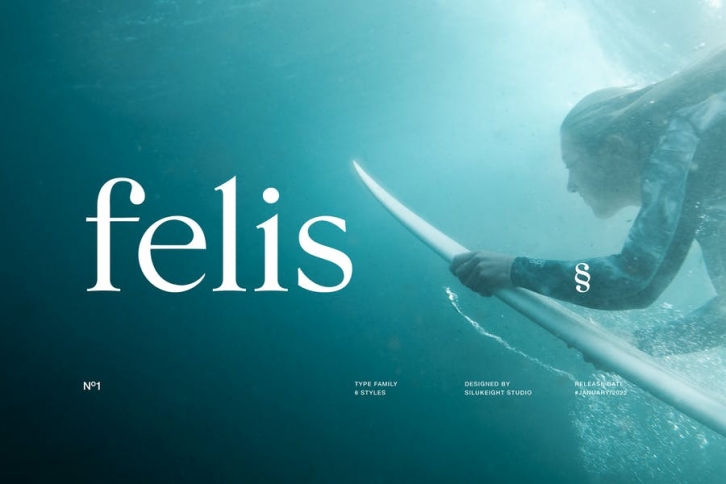 Felis Serif Font Font Download