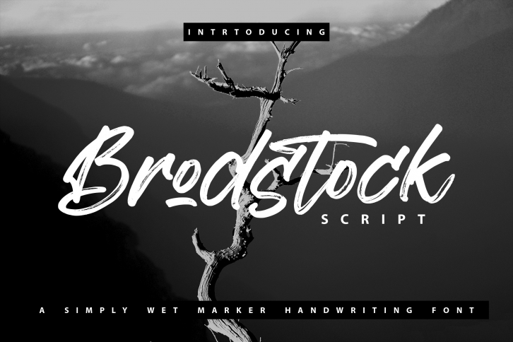 Brodstock Font Download