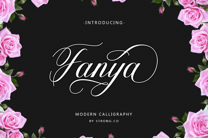 Fanya Script Font Download