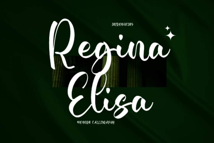 Regina Elisa Font Download