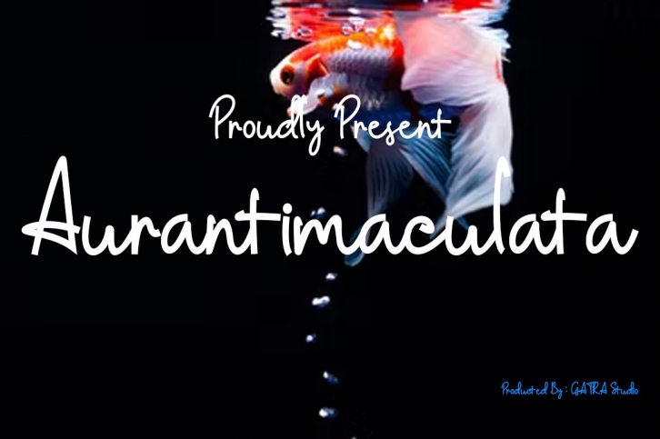 Aurantimaculata Font Download
