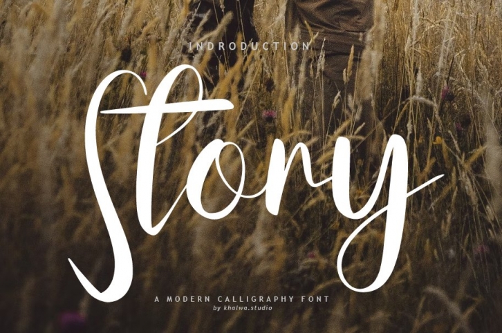 Story Font Download