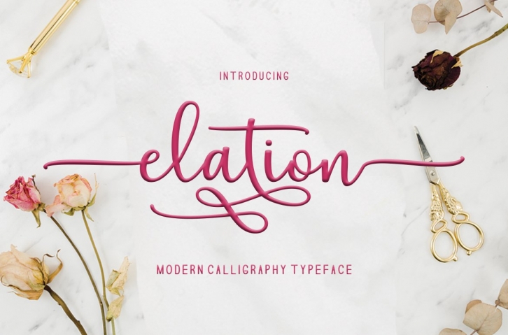 Elation Duo Font Download