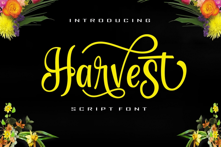 Harvest Font Download