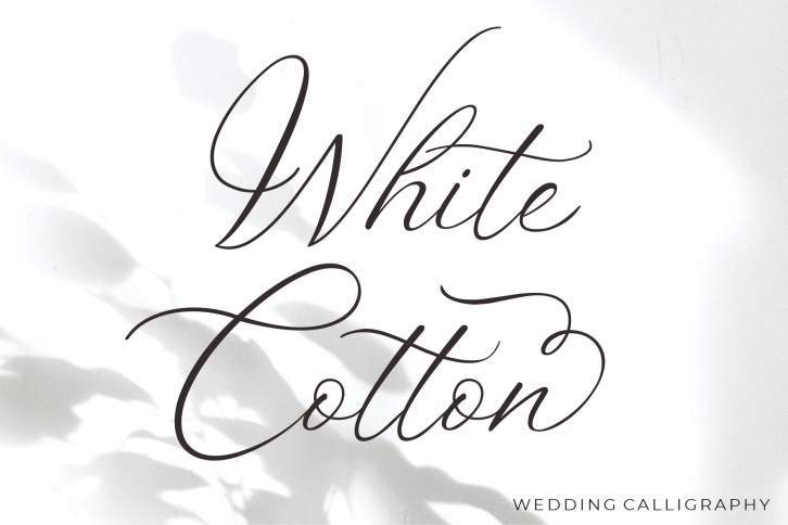 White Cotton Font Download