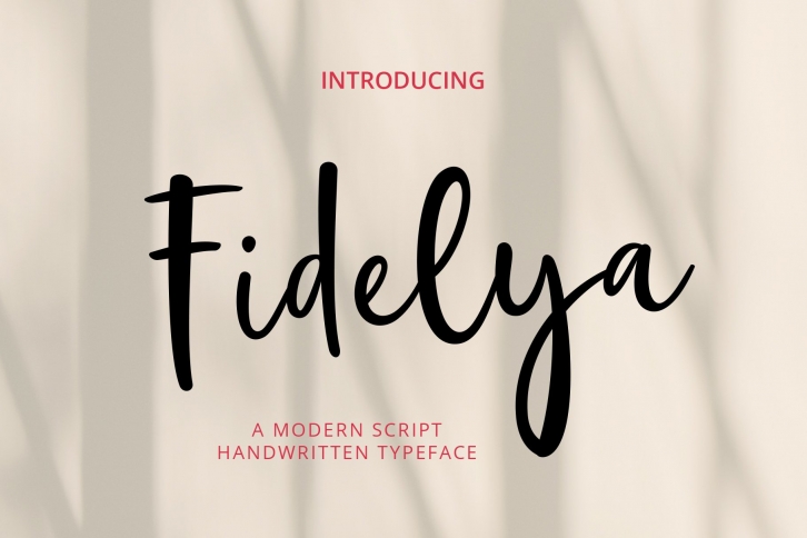 Fidelya Modern Script Font Download