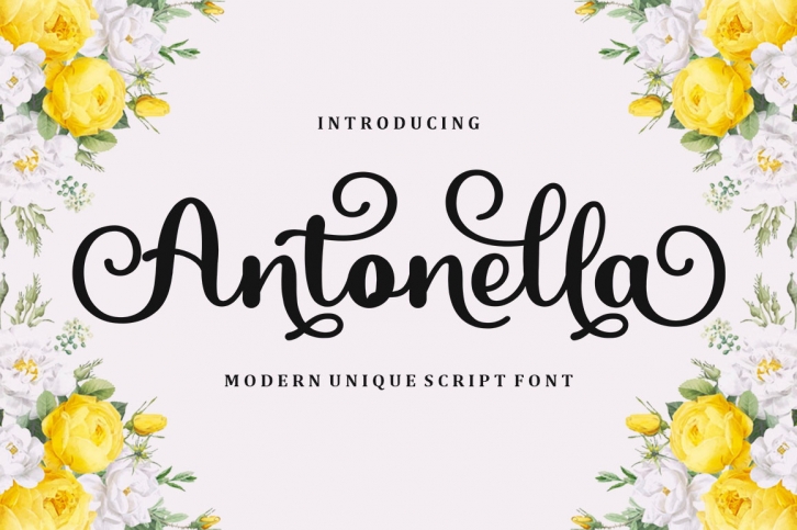 Antonella Font Download
