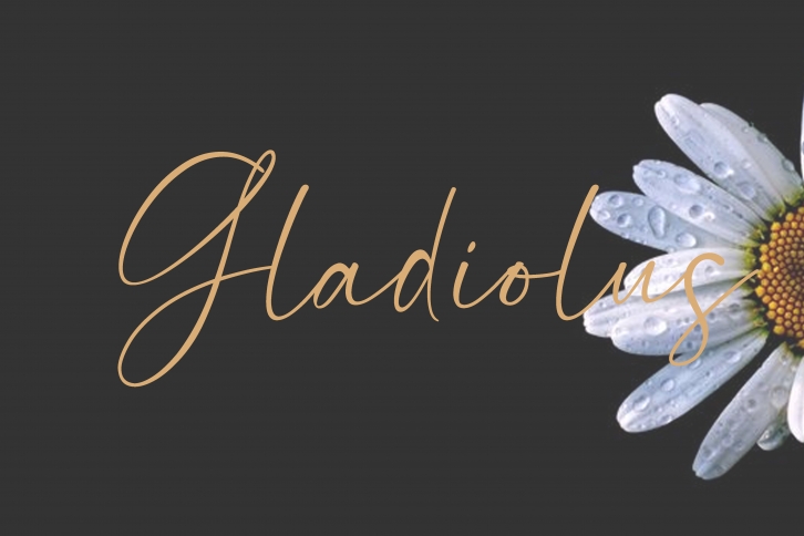 Gladiolus Font Download
