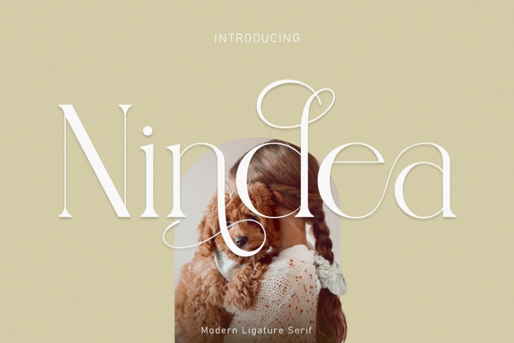 Nindea Modern Ligature Serif Font Download