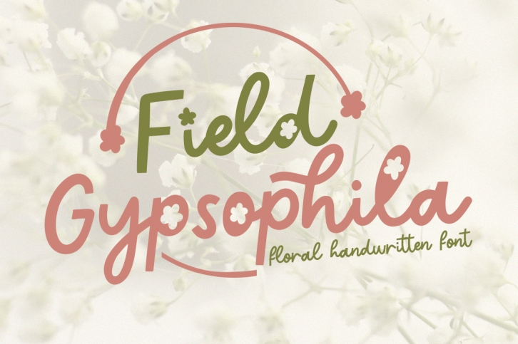 Field Gypsophila Font Download