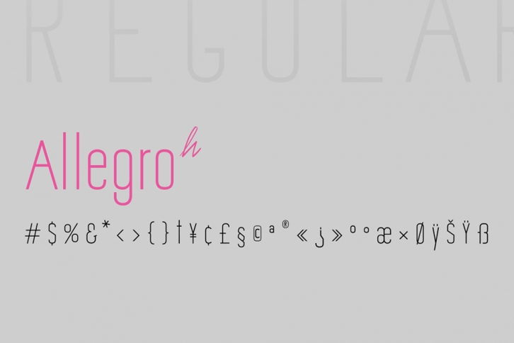 Allegro Sans Font Download